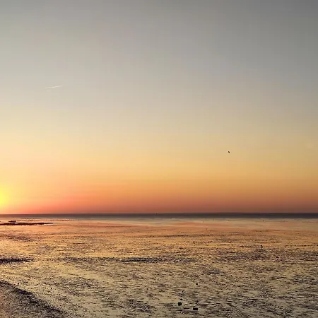 Prázdninový dům Tiny House Nature 10 Innenlage - Tiny Village Harlesiel Carolinensiel